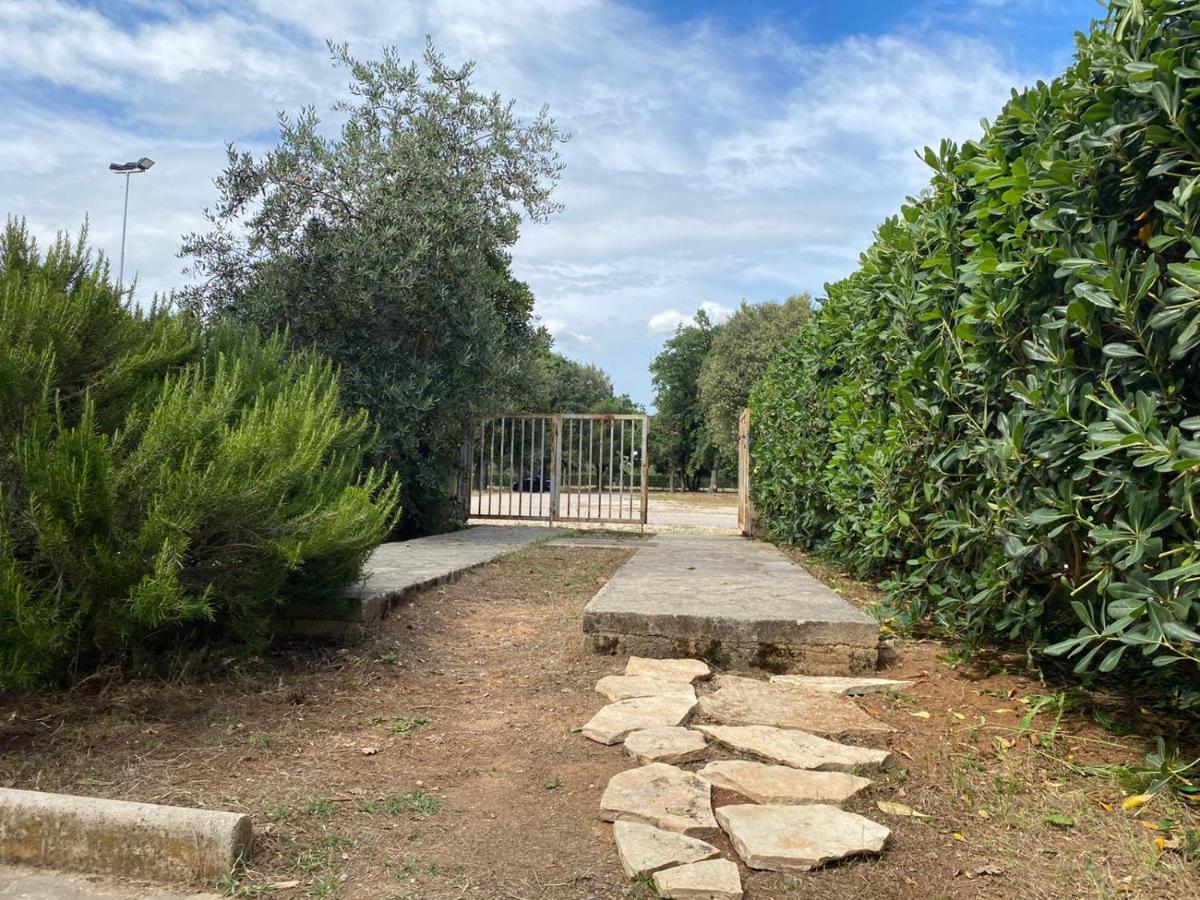 Apartment Soline Biograd Na Moru Exterior photo